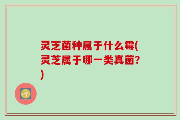 灵芝菌种属于什么霉(灵芝属于哪一类真菌？)
