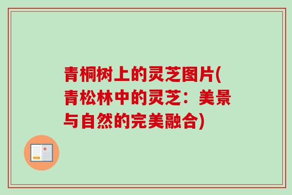 青桐树上的灵芝图片(青松林中的灵芝：美景与自然的完美融合)