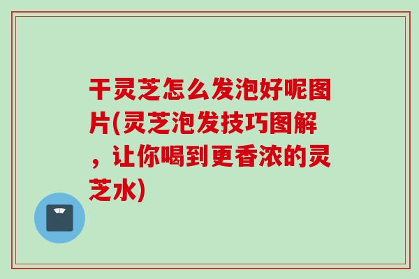 干灵芝怎么发泡好呢图片(灵芝泡发技巧图解，让你喝到更香浓的灵芝水)