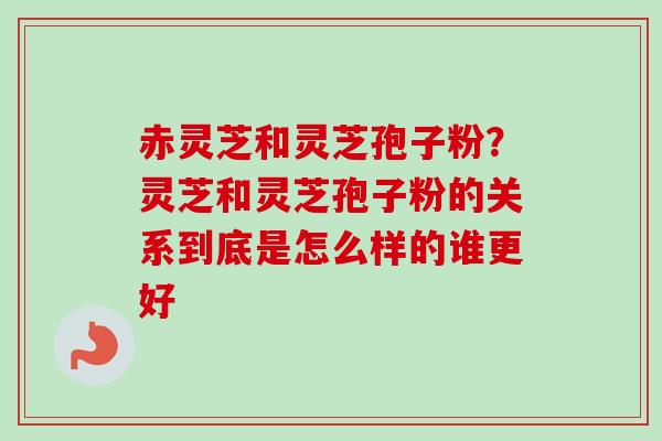 赤灵芝和灵芝孢子粉？灵芝和灵芝孢子粉的关系到底是怎么样的谁更好