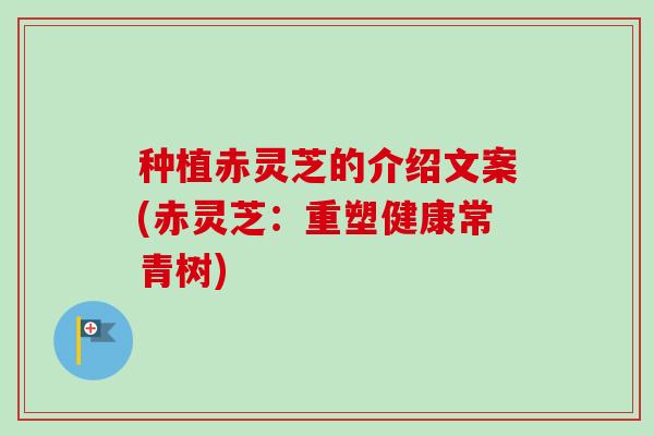 种植赤灵芝的介绍文案(赤灵芝：重塑健康常青树)