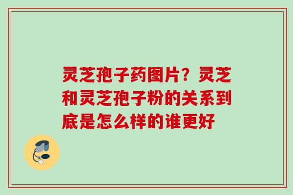 灵芝孢子药图片？灵芝和灵芝孢子粉的关系到底是怎么样的谁更好