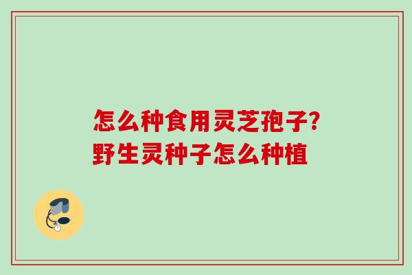 怎么种食用灵芝孢子？野生灵种子怎么种植