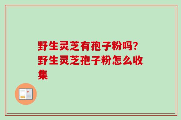 野生灵芝有孢子粉吗？野生灵芝孢子粉怎么收集
