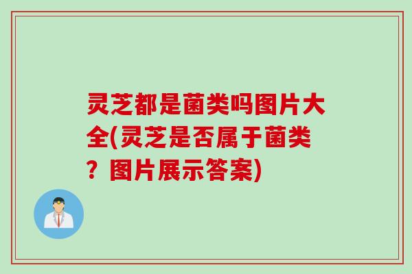灵芝都是菌类吗图片大全(灵芝是否属于菌类？图片展示答案)