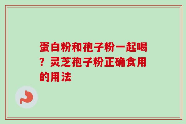 蛋白粉和孢子粉一起喝？灵芝孢子粉正确食用的用法