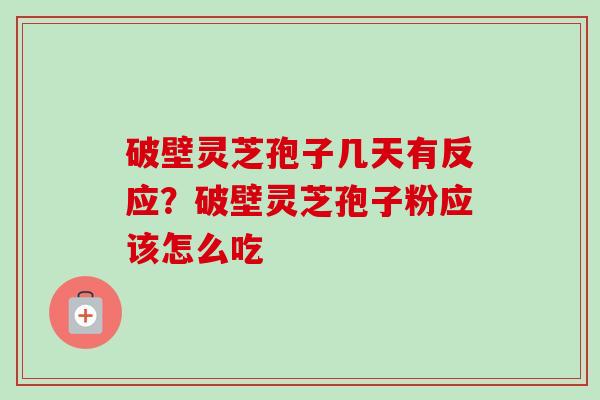 破壁灵芝孢子几天有反应？破壁灵芝孢子粉应该怎么吃