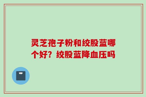 灵芝孢子粉和绞股蓝哪个好？绞股蓝降血压吗