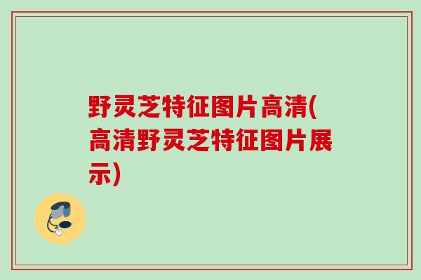 野灵芝特征图片高清(高清野灵芝特征图片展示)