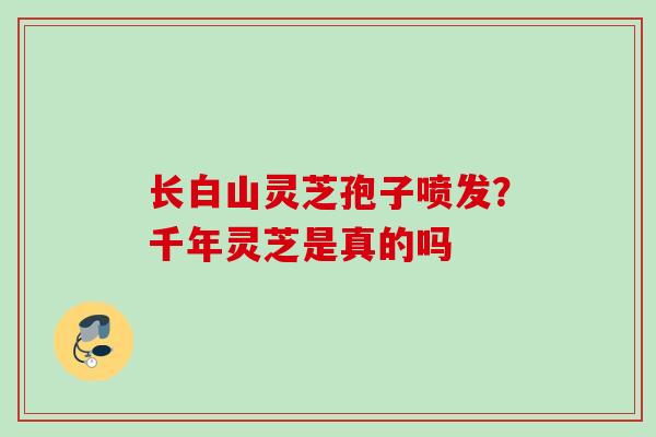 长白山灵芝孢子喷发？千年灵芝是真的吗