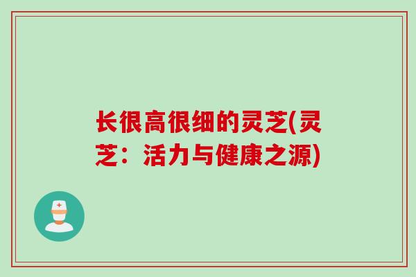 长很高很细的灵芝(灵芝：活力与健康之源)