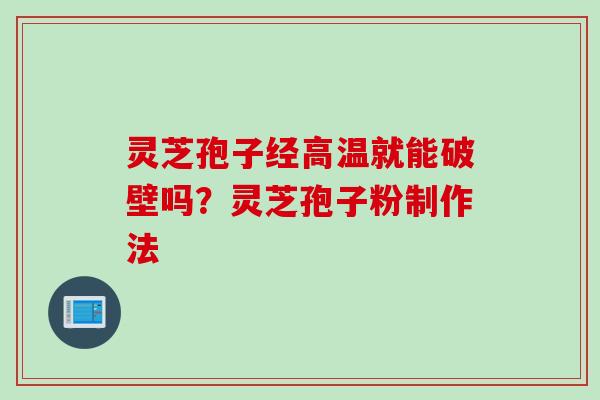 灵芝孢子经高温就能破壁吗？灵芝孢子粉制作法