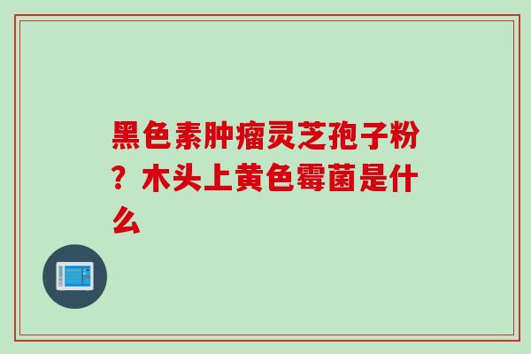 黑色素肿瘤灵芝孢子粉？木头上黄色霉菌是什么