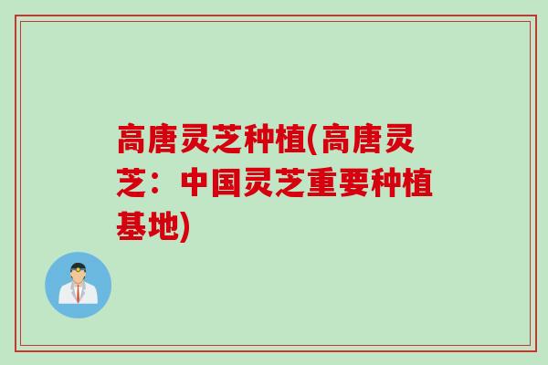 高唐灵芝种植(高唐灵芝:中国灵芝重要种植基地) 高唐灵芝种植(高唐灵芝:中国灵芝重要种植基地)