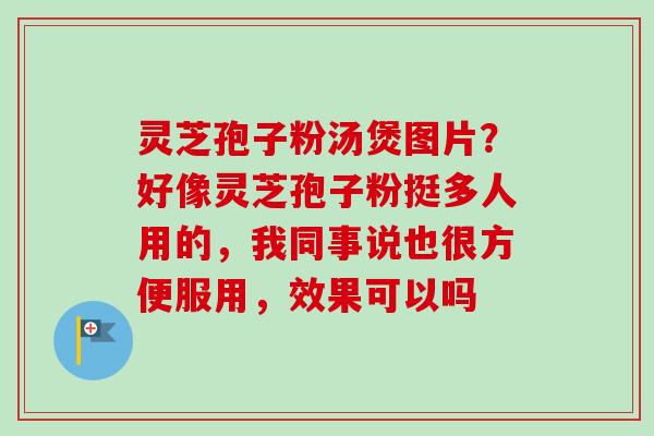 灵芝孢子粉汤煲图片？好像灵芝孢子粉挺多人用的，我同事说也很方便服用，效果可以吗