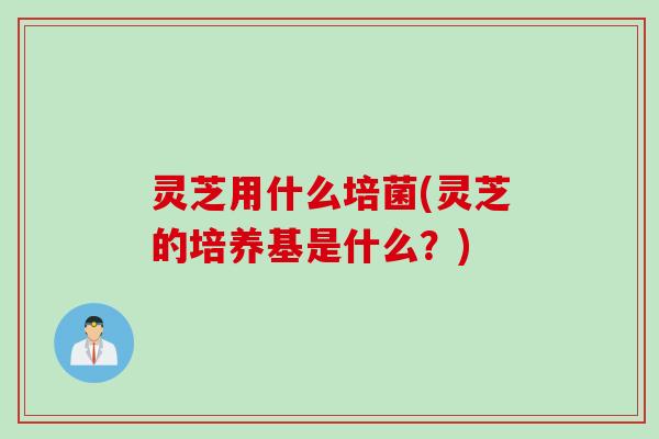 灵芝用什么培菌(灵芝的培养基是什么?)