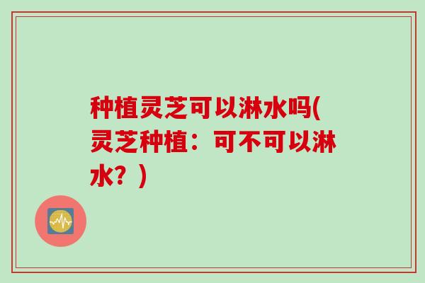 种植灵芝可以淋水吗(灵芝种植：可不可以淋水？)