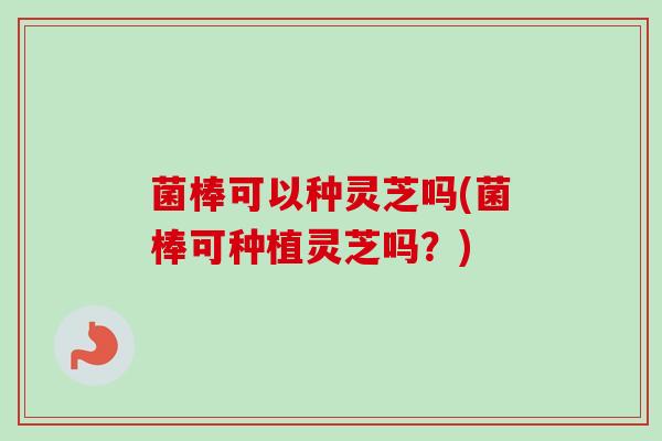 菌棒可以种灵芝吗(菌棒可种植灵芝吗？)