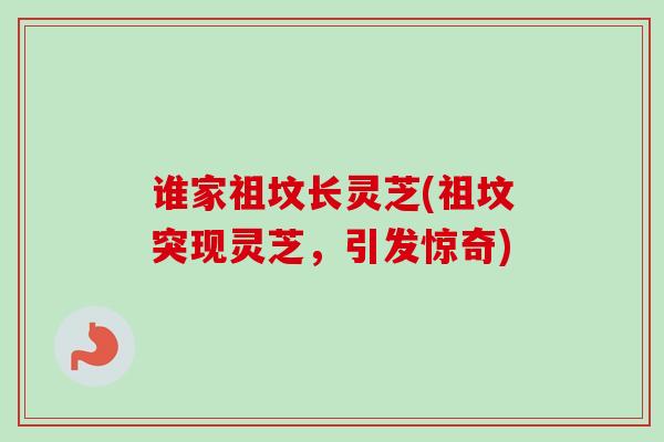 谁家祖坟长灵芝(祖坟突现灵芝，引发惊奇)