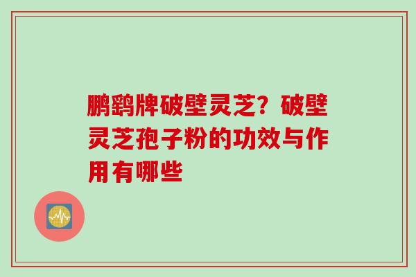 鹏鹞牌破壁灵芝？破壁灵芝孢子粉的功效与作用有哪些