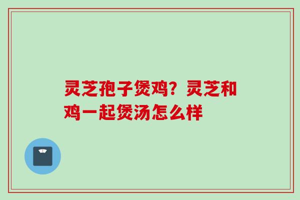 灵芝孢子煲鸡？灵芝和鸡一起煲汤怎么样