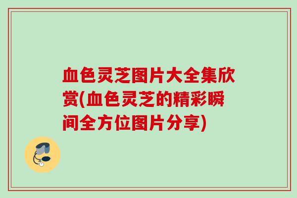 血色灵芝图片大全集欣赏(血色灵芝的精彩瞬间全方位图片分享)