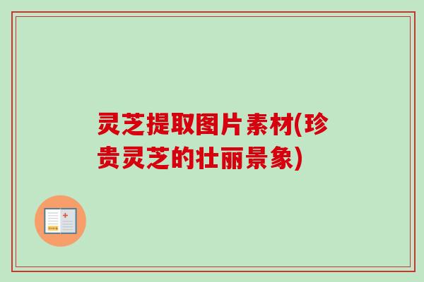 灵芝提取图片素材(珍贵灵芝的壮丽景象)