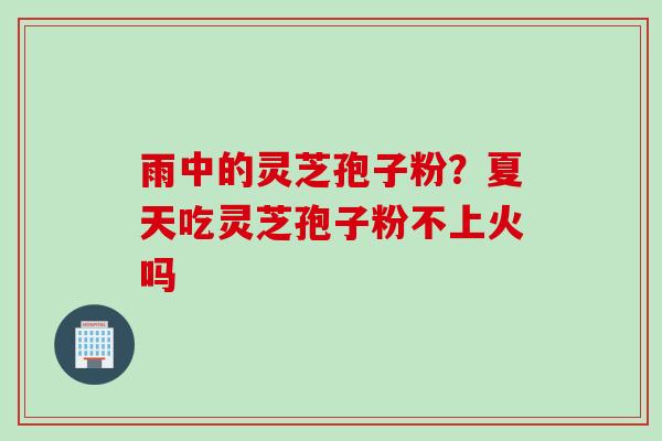 雨中的灵芝孢子粉？夏天吃灵芝孢子粉不上火吗