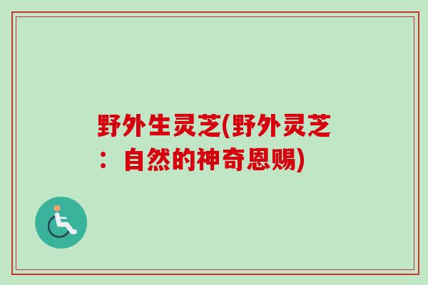 野外生灵芝(野外灵芝：自然的神奇恩赐)