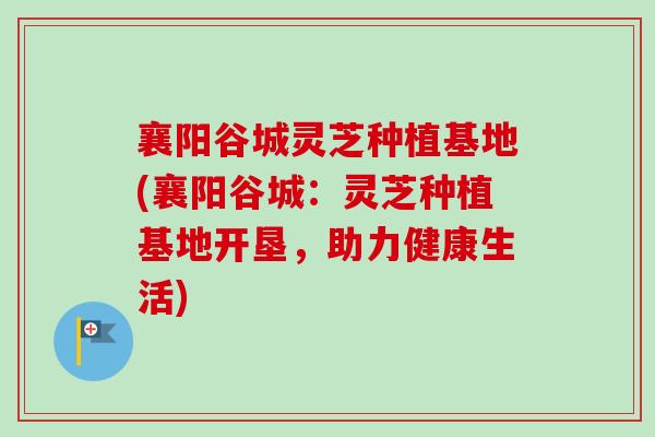 襄阳谷城灵芝种植基地(襄阳谷城：灵芝种植基地开垦，助力健康生活)