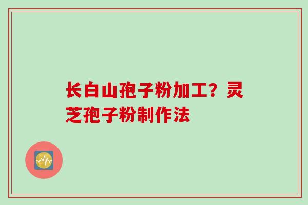 长白山孢子粉加工？灵芝孢子粉制作法