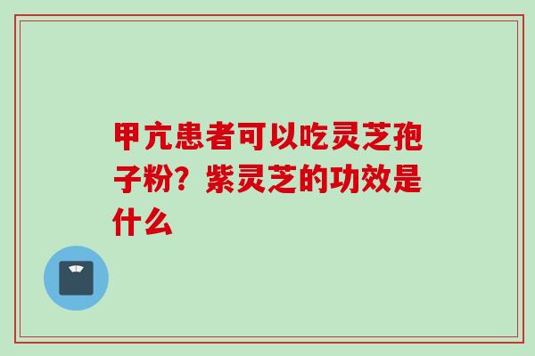 甲亢患者可以吃灵芝孢子粉？紫灵芝的功效是什么