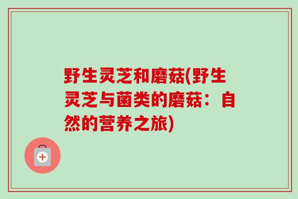 野生灵芝和磨菇(野生灵芝与菌类的磨菇：自然的营养之旅)