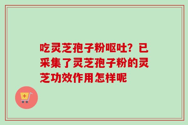 吃灵芝孢子粉呕吐？已采集了灵芝孢子粉的灵芝功效作用怎样呢
