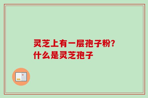 灵芝上有一层孢子粉？什么是灵芝孢子
