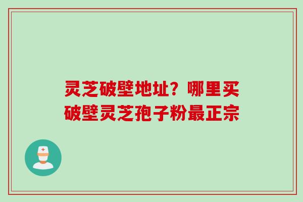 灵芝破壁地址？哪里买破壁灵芝孢子粉最正宗