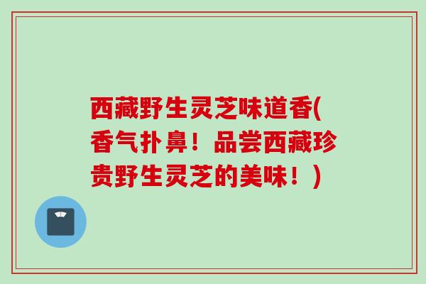 西藏野生灵芝味道香(香气扑鼻！品尝西藏珍贵野生灵芝的美味！)