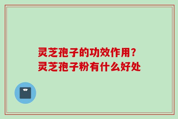 灵芝孢子的功效作用？灵芝孢子粉有什么好处