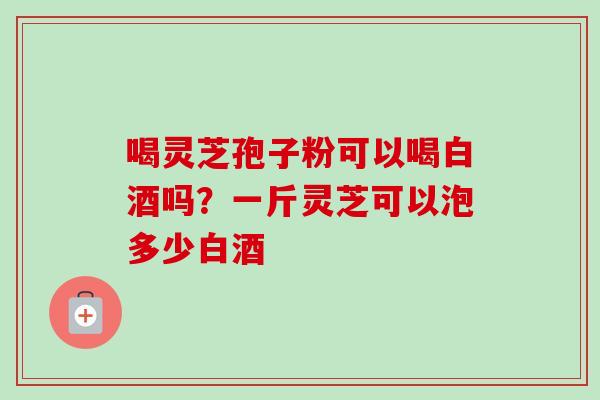 喝灵芝孢子粉可以喝白酒吗？一斤灵芝可以泡多少白酒