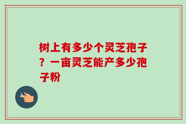 树上有多少个灵芝孢子？一亩灵芝能产多少孢子粉