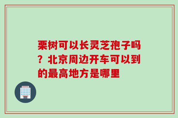 栗树可以长灵芝孢子吗？北京周边开车可以到的最高地方是哪里