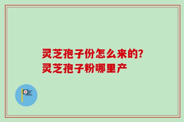 灵芝孢子份怎么来的？灵芝孢子粉哪里产
