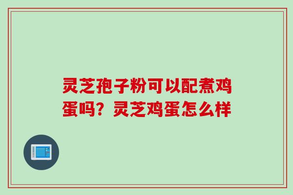 灵芝孢子粉可以配煮鸡蛋吗？灵芝鸡蛋怎么样