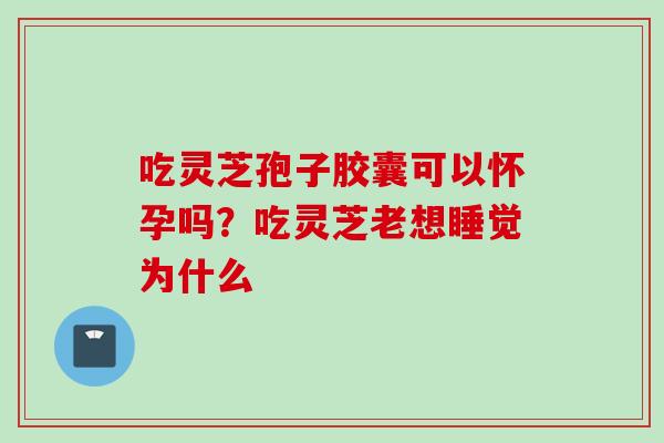 吃灵芝孢子胶囊可以怀孕吗？吃灵芝老想睡觉为什么