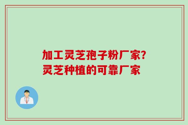 加工灵芝孢子粉厂家？灵芝种植的可靠厂家