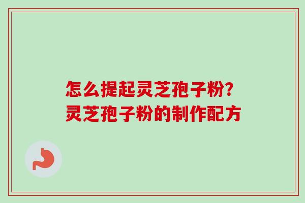 怎么提起灵芝孢子粉？灵芝孢子粉的制作配方