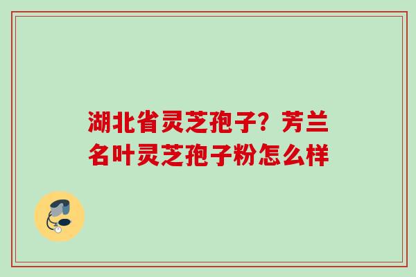湖北省灵芝孢子？芳兰名叶灵芝孢子粉怎么样
