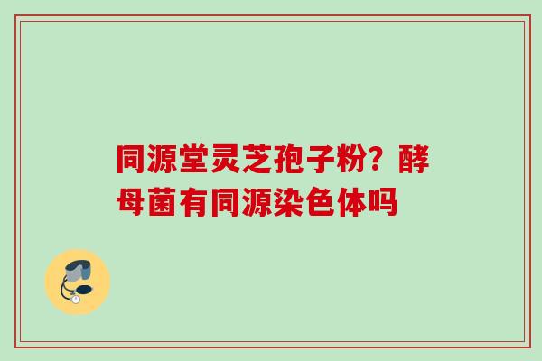 同源堂灵芝孢子粉？酵母菌有同源染色体吗