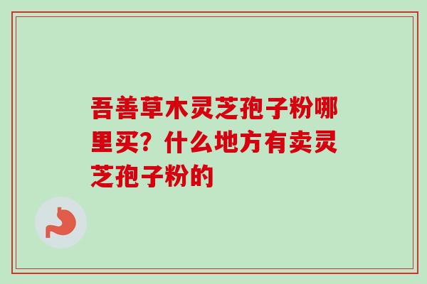吾善草木灵芝孢子粉哪里买？什么地方有卖灵芝孢子粉的