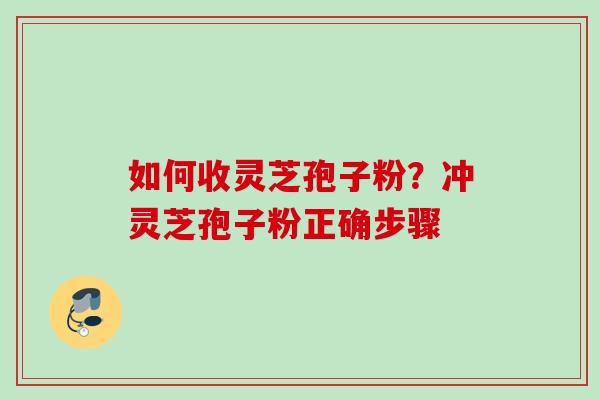 如何收灵芝孢子粉？冲灵芝孢子粉正确步骤